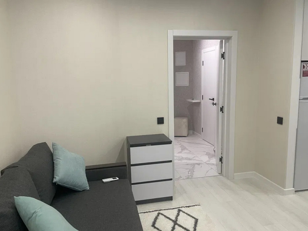 Оренда Квартира 1-кімнатна, 9/23 поверх на вул. Самійла Кішки, 5Б Київ - фото 4