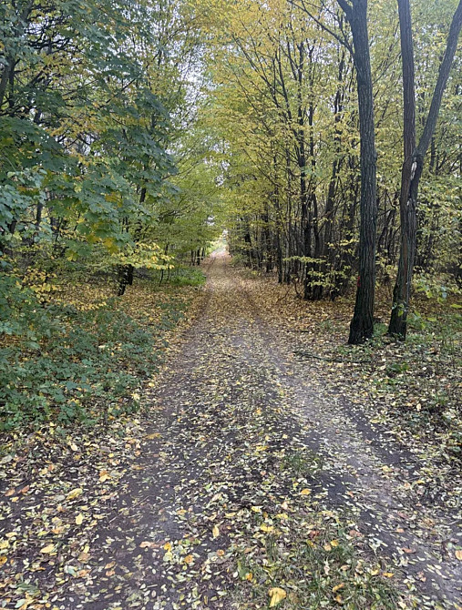 Продаж земельної ділянки 10 соток на Зарічани Житомир - изображение 1