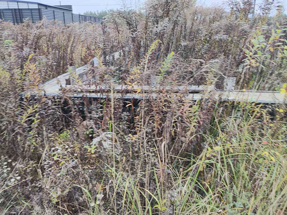 Продаж земельної ділянки 6 соток на Зарічани Zhytomyr - photo 3