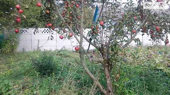 Продаж Будинок на Лесі Українки 