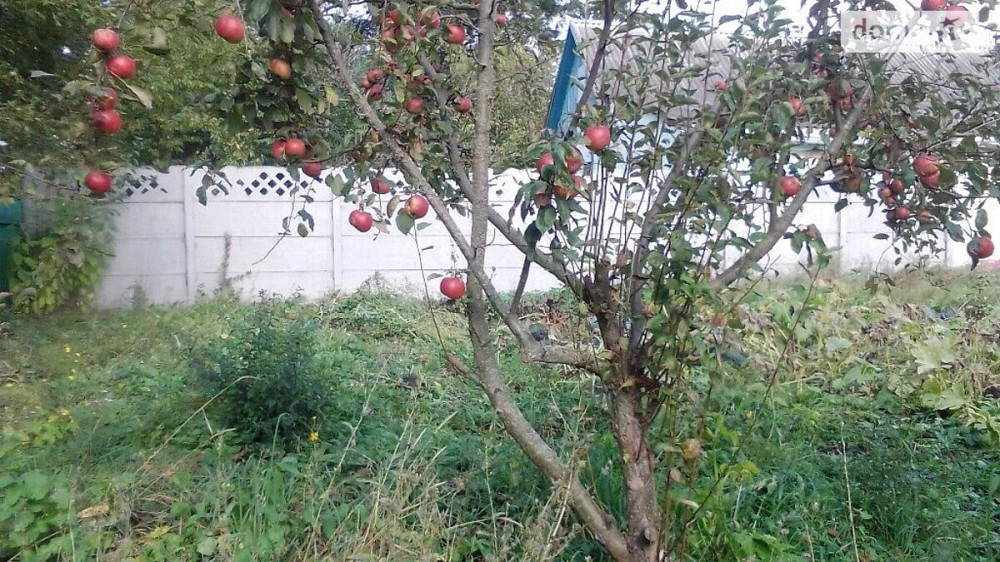 Продаж Будинок на Лесі Українки  - фото 5