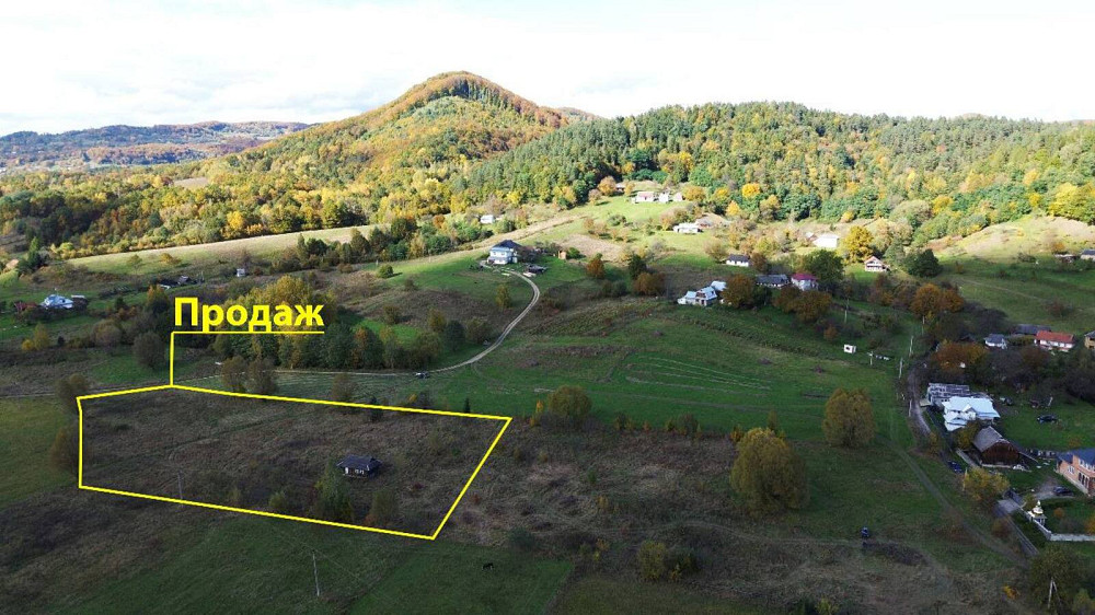 Продаж земельної ділянки 76 соток Люча - фото 2