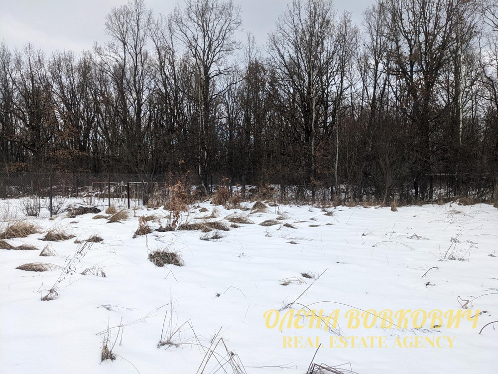 Продаж земельної ділянки 5.51 соток Pavlivka - photo 3