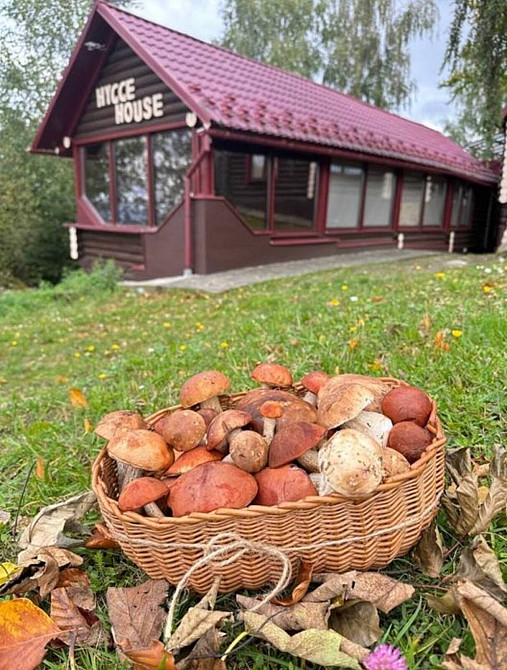 Продаж унікального маєтку у серці Карпат!  - photo 2