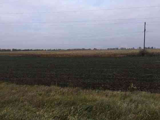 Продаж земельної ділянки 2 га Бориспіль