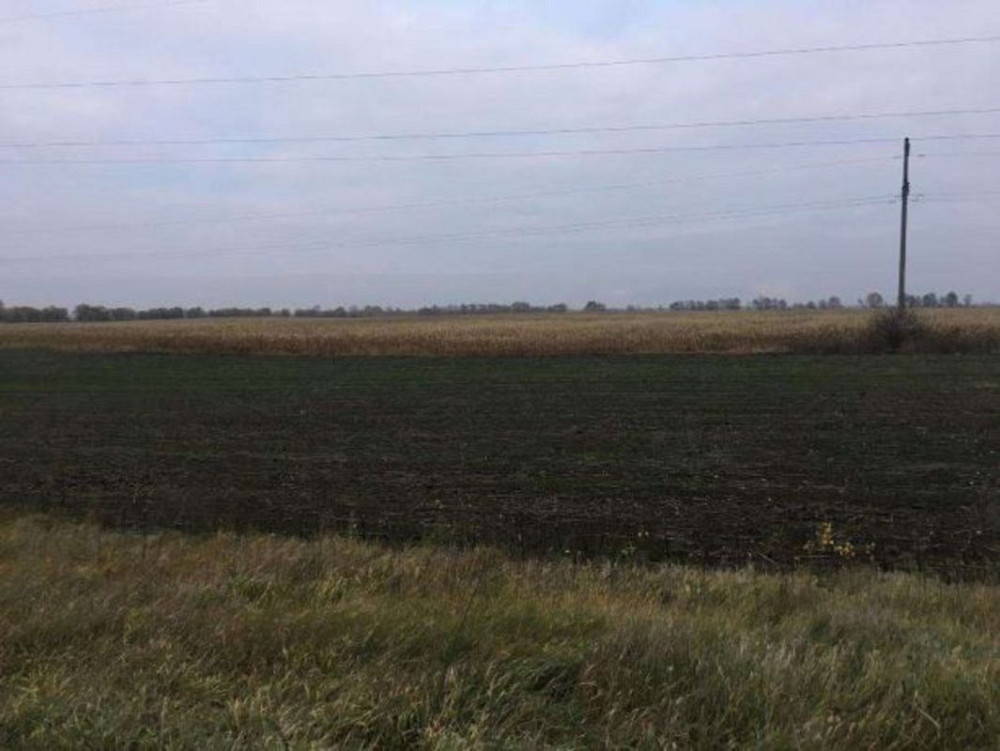 Продаж земельної ділянки 2 га Бориспіль - фото 2