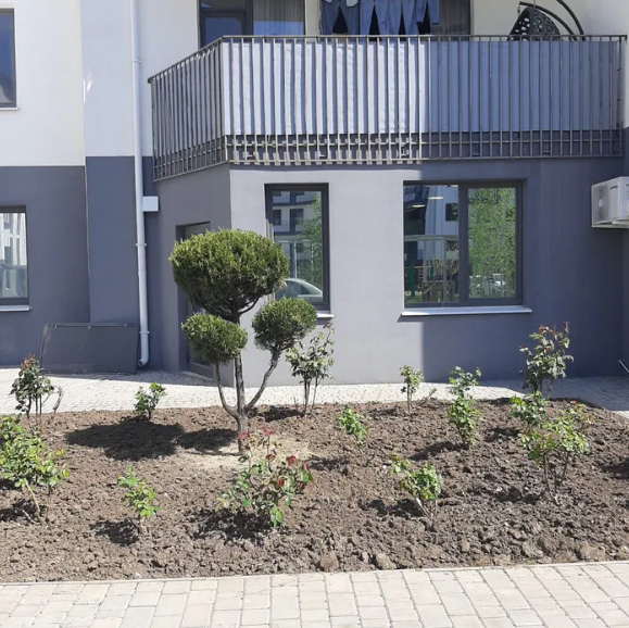 Продаж комерційне приміщення на ул. Академика Сахарова, 11 приміщень - 2, поверх - 1 Крижанівка (Комінтернівський район) - фото 2