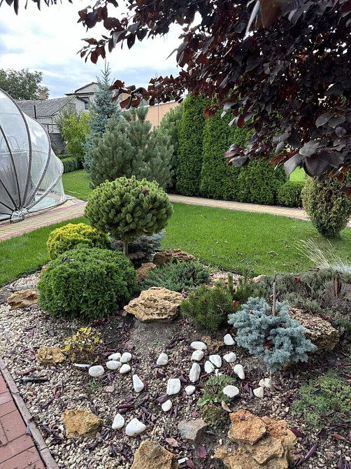 Продаж Будинок Олександрія - фото 14