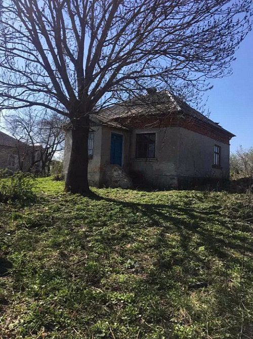 Продаж земельної ділянки 37 соток  - фото 3