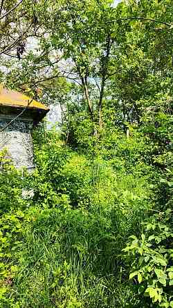 Продаж земельної ділянки 48 соток на Мічуріна 