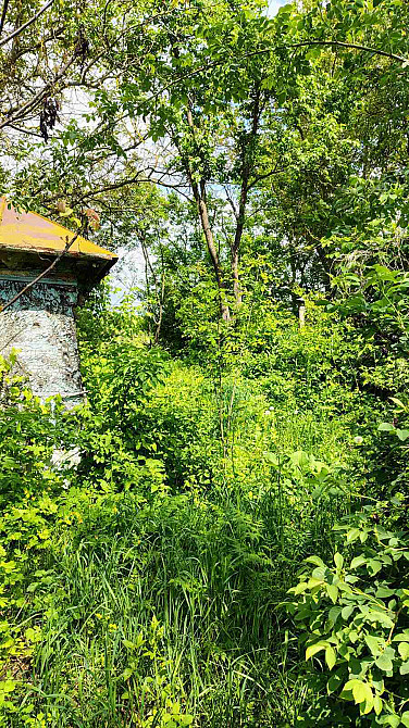 Продаж земельної ділянки 48 соток на Мічуріна  - фото 5