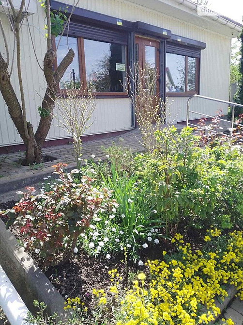 Оренда приміщення вільного призначення на Чумацька (Блюхера) Вінниця - фото 3