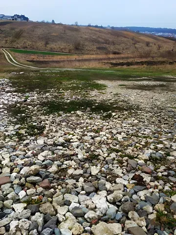 Продажа земельного участка  площадь 10 сот Вишнева вулиця  - изображение 7