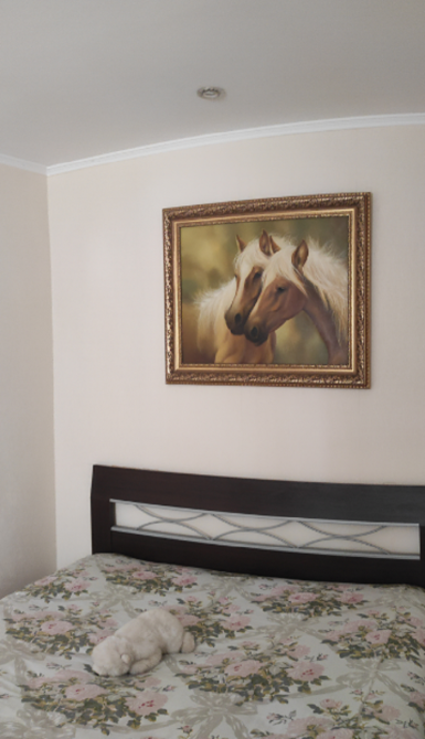 Трехкомнатная квартира в центре Молдаванки Odessa - photo 3