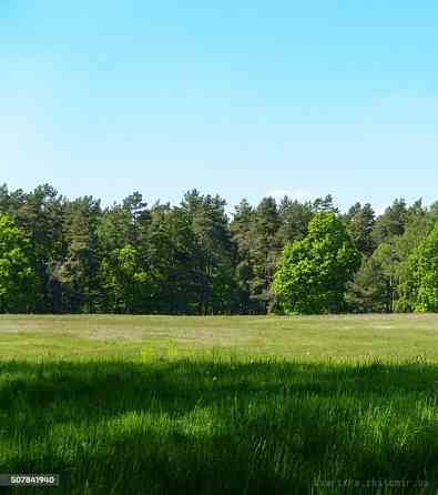 Продаж земельної ділянки 16 соток на Дениші Житомир