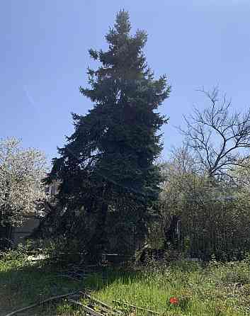 Продаж земельної ділянки на 2 лінія Марії Демченко, 21 Odessa