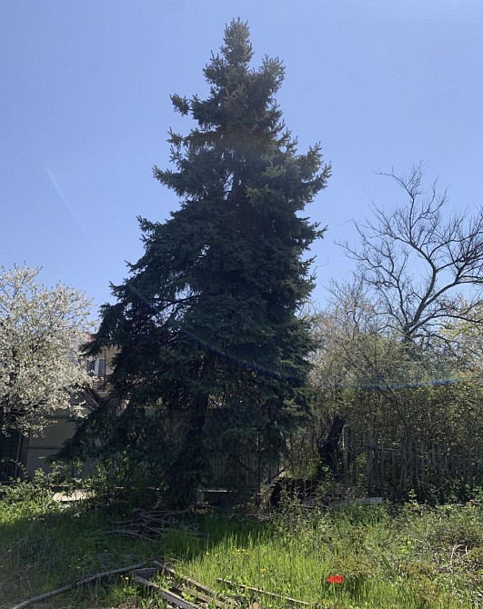 Продаж земельної ділянки на 2 лінія Марії Демченко, 21 Одеса - фото 4