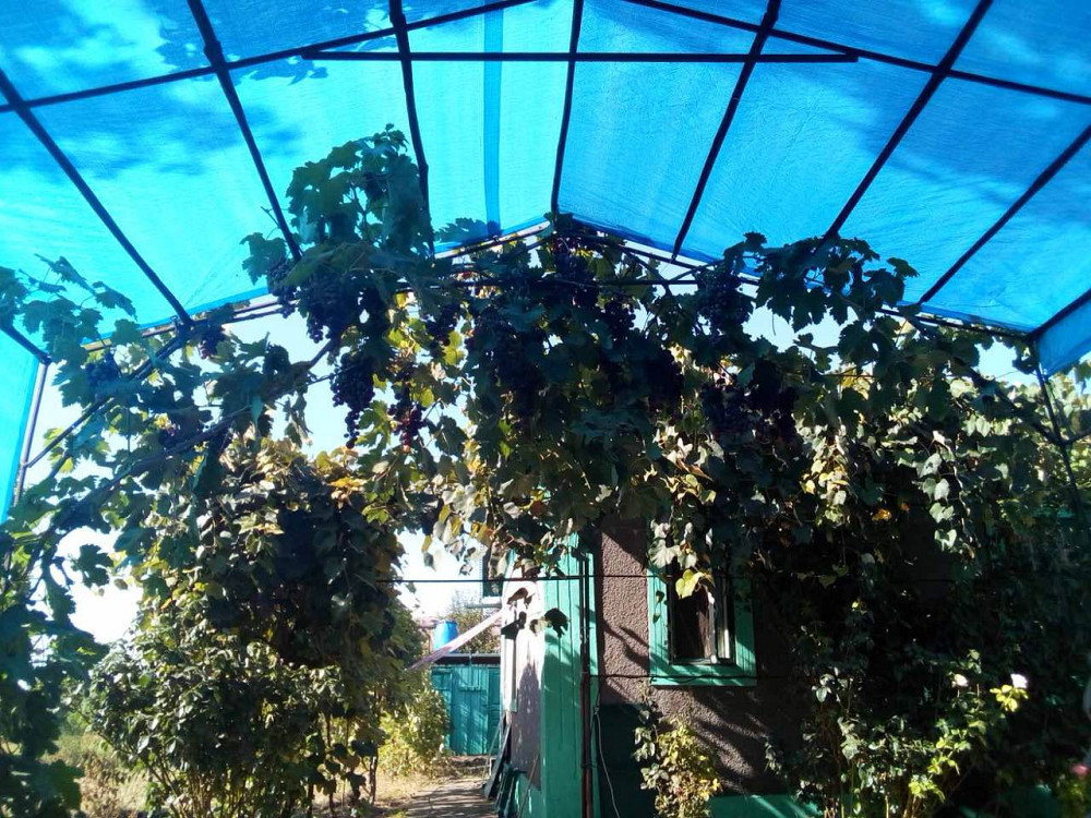 Продам дом в с.Граденицы с выходом на Кучурганский лиман Градениці - фото 14