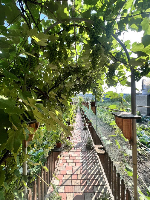 Продам будинок + готовий бізнес. Новоукраїнка Новоукраїнка - фото 15