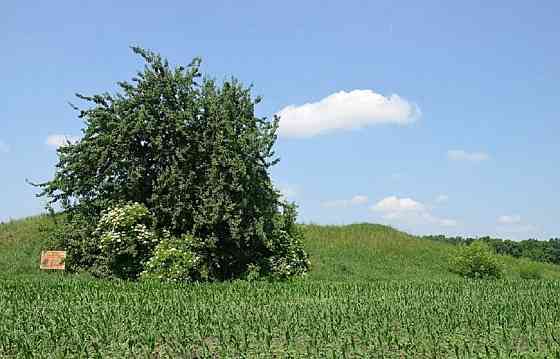 Продаж земельної ділянки 25 соток на улица Райдужна, д. Переяславське