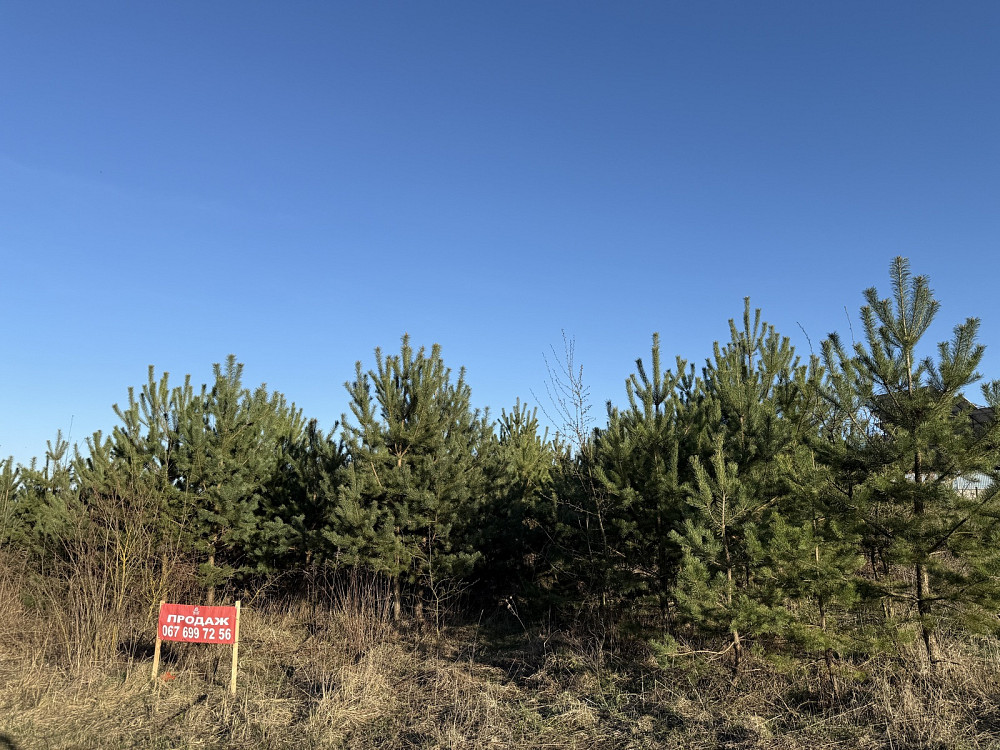 Продаж земельної ділянки 9 соток на вул. Тиха Байківці - фото 2