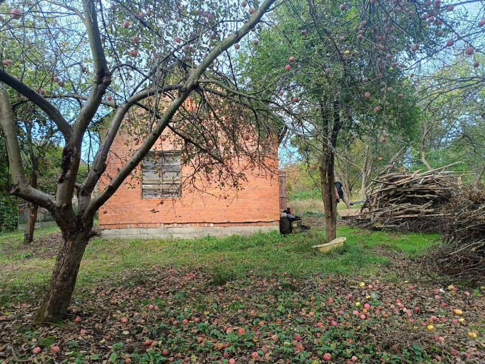 Продаж Квартира на улица Шашкевича Скнилів (Золочівський район) - фото 1