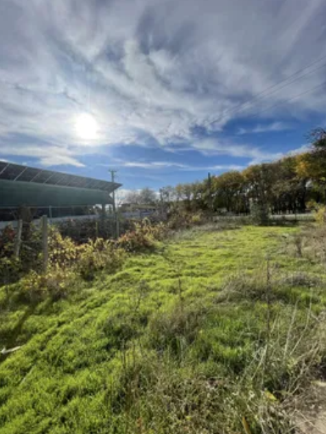 Продаж Будинок 3-кімнатний на ул. Торгова, 4 Pershotravneve (Izmailskyi raion) - photo 14