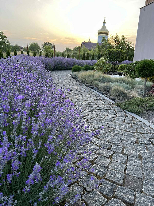 Продаж Будинок 8-кімнатний Красне (Буський район) - изображение 8