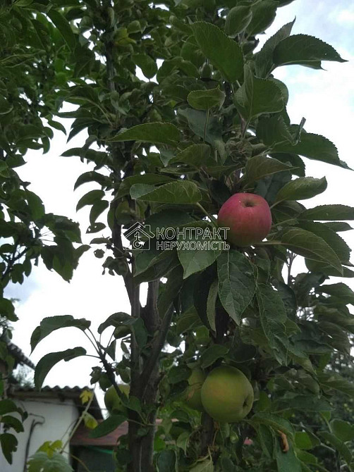 Продаж Будинок 2-кімнатний на вул. Верхня Гиївська Kharkiv - photo 19