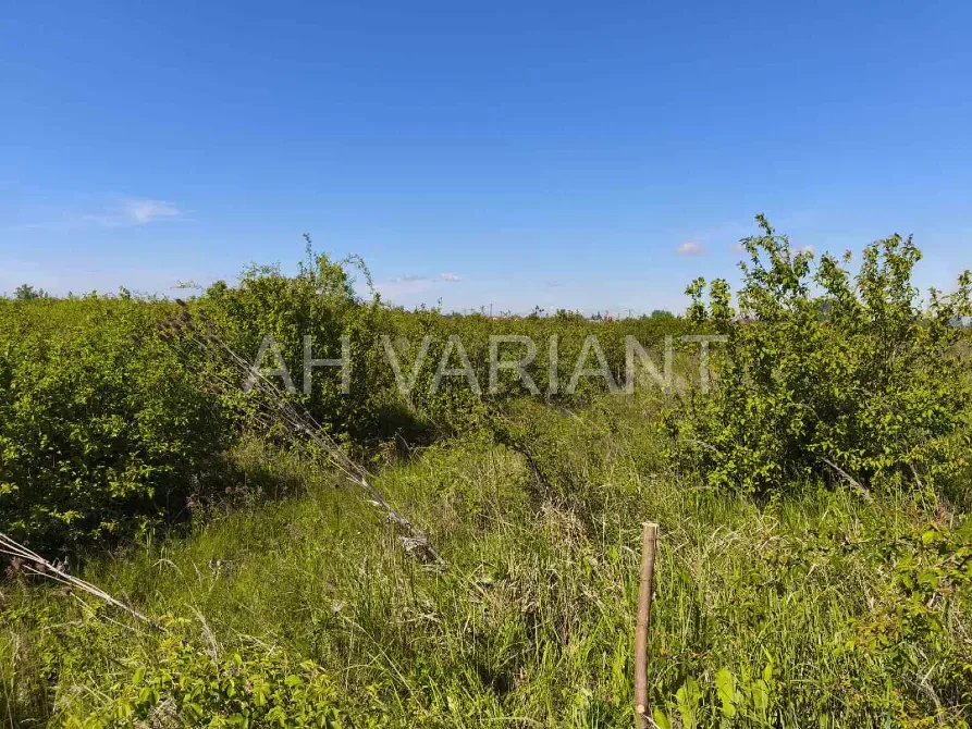 Продаж земельної ділянки Для сільськогосподарської діяльності площа 8 сот Польова Кінчеш - фото 9