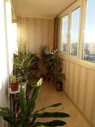 Красивая 3-х Комнатная квартира на Академика Вильямса Одеса