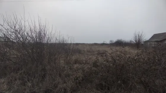 Продаж земельної ділянки Для будівництва приватного житлового будинку площа 15 сот Шкільна Тийглаш