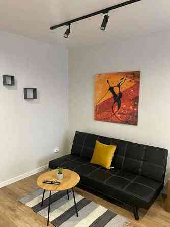 Оренда Квартира 1-кімнатна, 7/24 поверх на ул. Софии Русовой Kiev