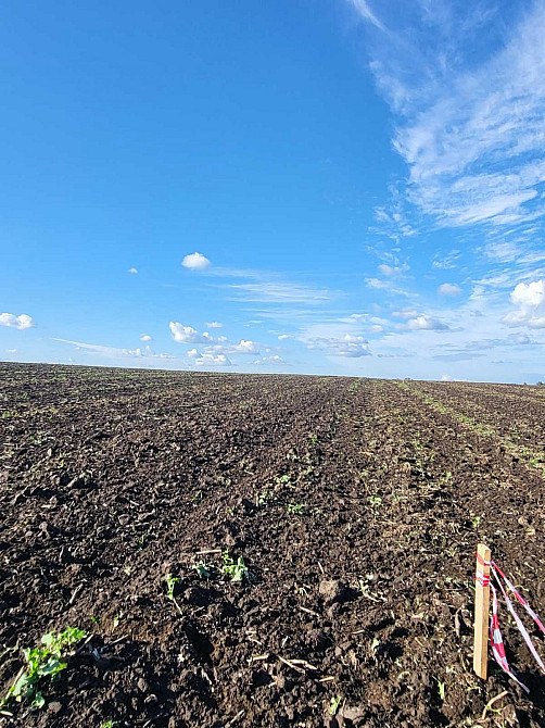 Продаж Квартира на улица Чишки - изображение 2