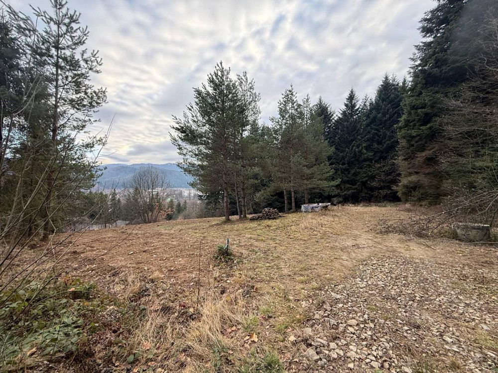 Продаж земельної ділянки 10 соток на вул. лісна Сколе - фото 6