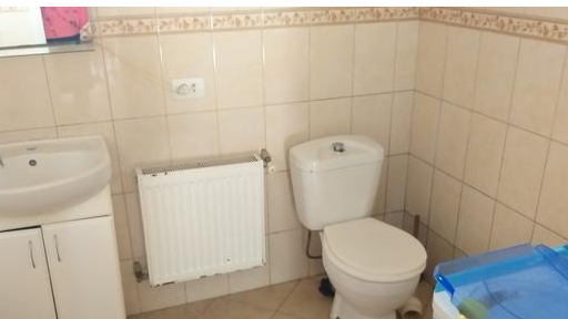 Продам дом в Нерубайском. Нерубайське - фото 7