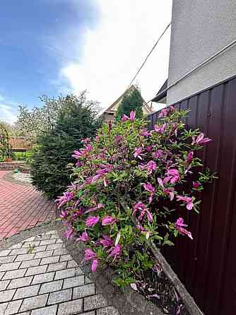 Продаж Будинок Кропивницкий