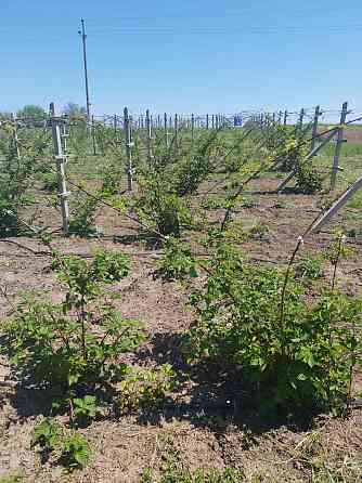 Капитальный дом в Еремеевке Yeremiivka