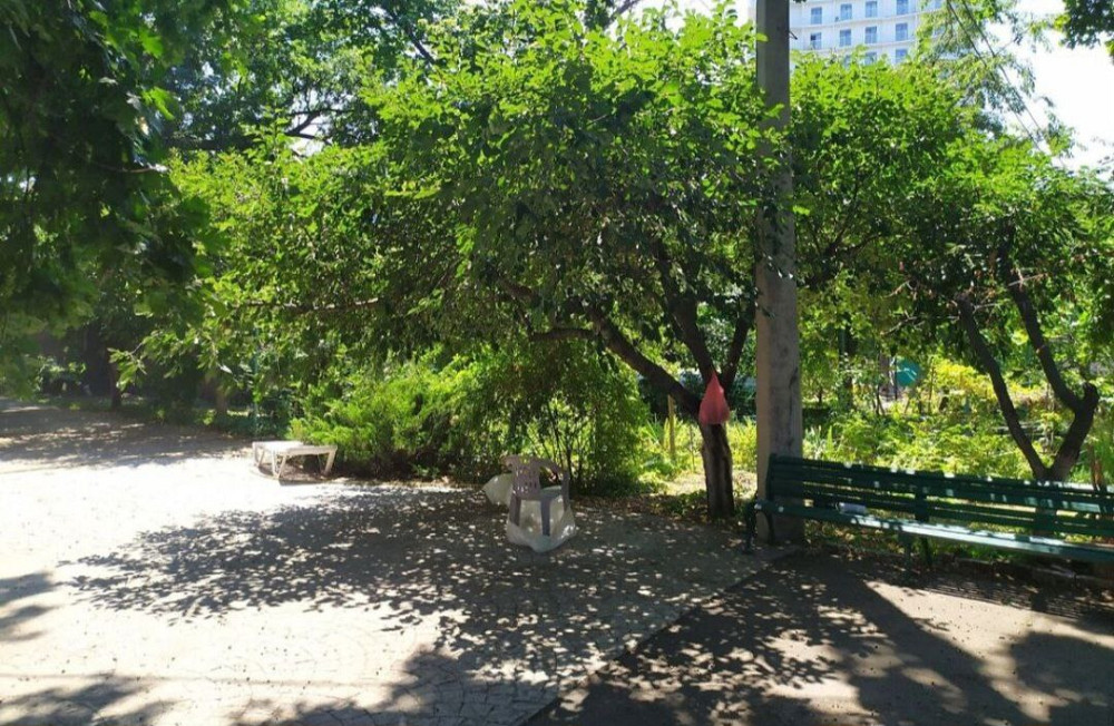 Участок 24 сотки с домом Красные Зори /Аркадия Одеса - фото 3