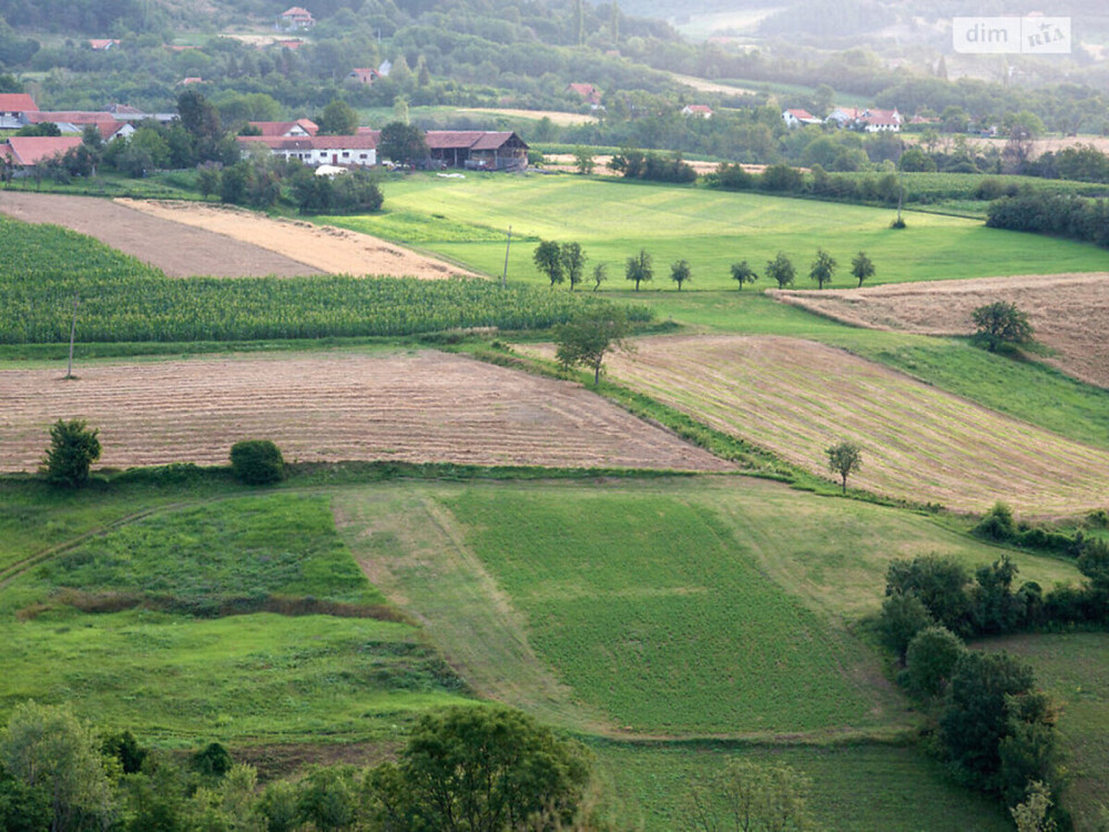 Продаж земельної ділянки 10 соток  - фото 1