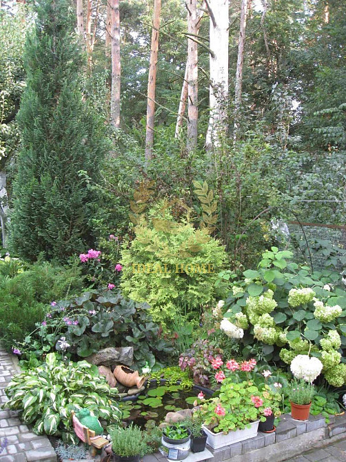 "Продам дачний будинок біля Мотовилівської Слобідки"  - фото 9