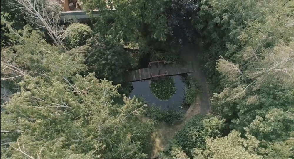 Дом на Вавилова на 23 сотках Одеса - фото 20