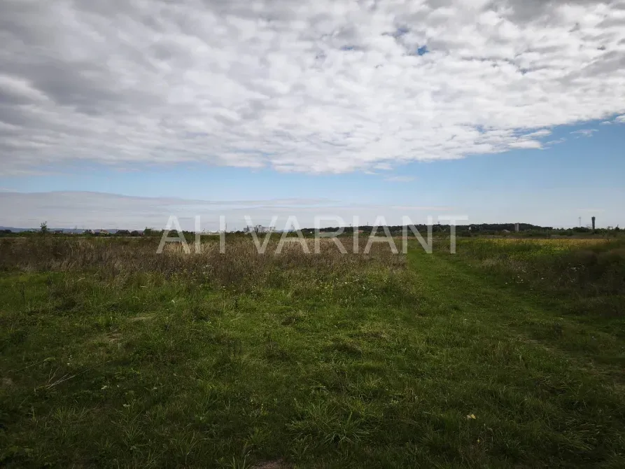 For sale land plot For agricultural activities area 20 ares Чонкаші Storozhnytsia - photo 2