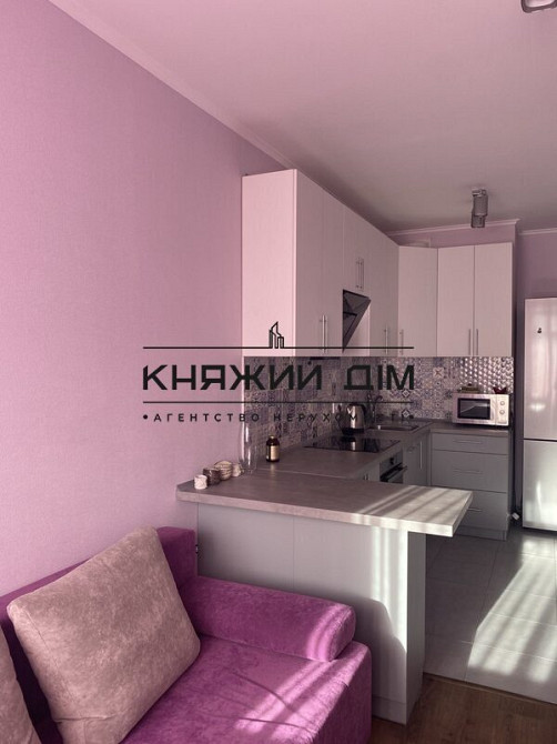 Оренда Квартира 1-кімнатна, 11/25 поверх на Пчелки Елены ул. Киев - изображение 10