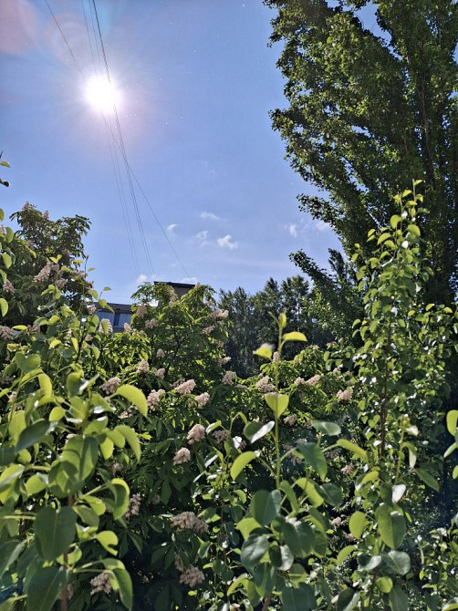 Продаж Квартира 2-кімнатна, 5/9 поверх на Берестейський просп. (Перемоги) вул., д. 21 Kiev - photo 6