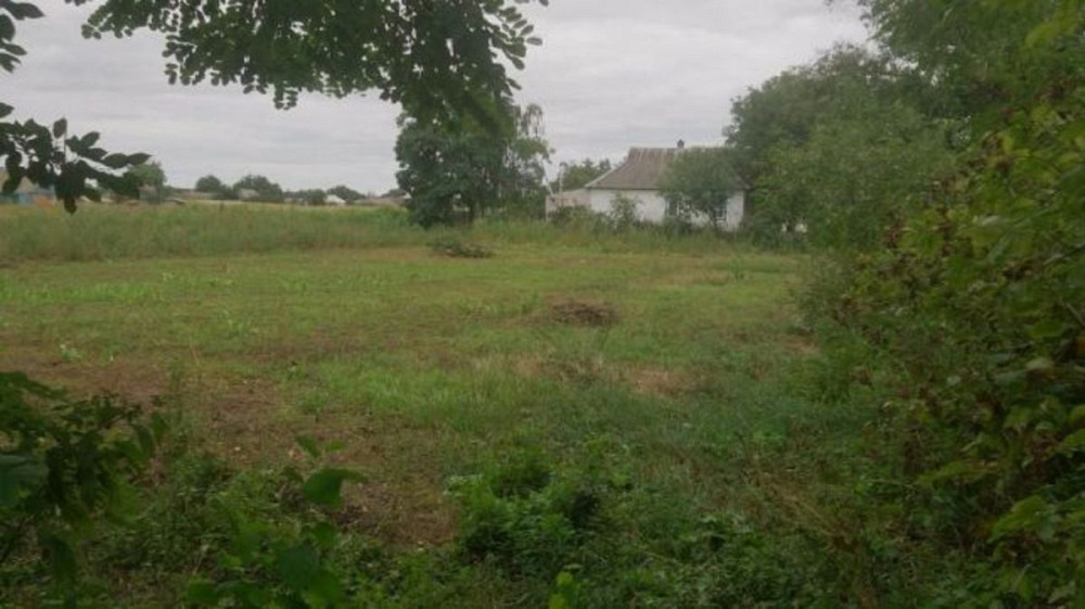 Продаж земельної ділянки 15 соток  - фото 1