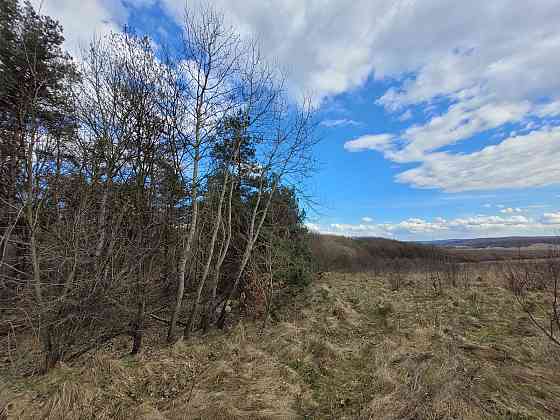 Продаж земельної ділянки 1.87 га Kolodiivka