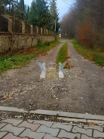 Продажа земельного участка  площадь 43 сот Лісова вулиця 1  - изображение 10