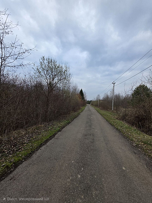 Продаж земельної ділянки 30 соток на Монастирська Посіч - фото 3