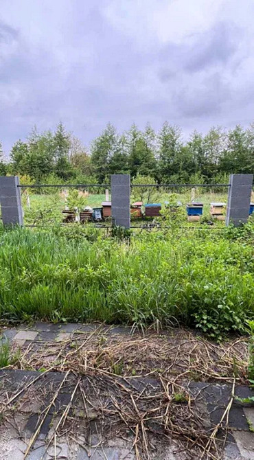 Продаж Будинок на Січинського  - photo 17